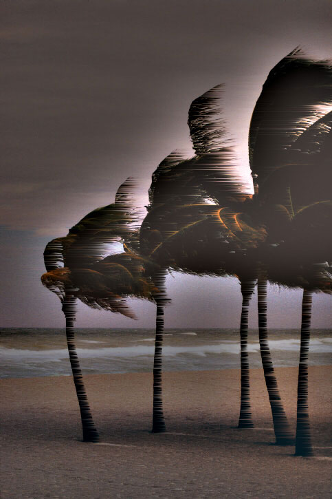 Image showing palm trees to indicate it's Resistant to Hurricane-Force Winds