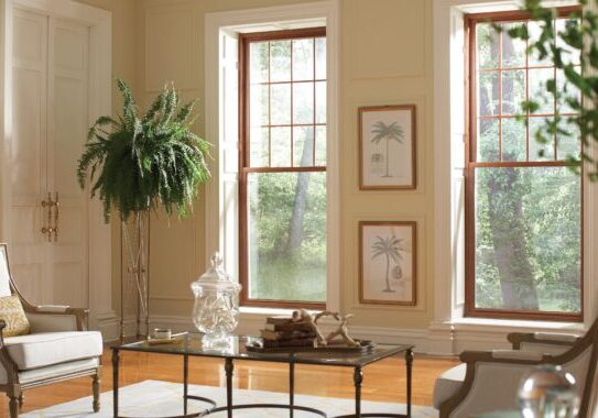 Preservation windows